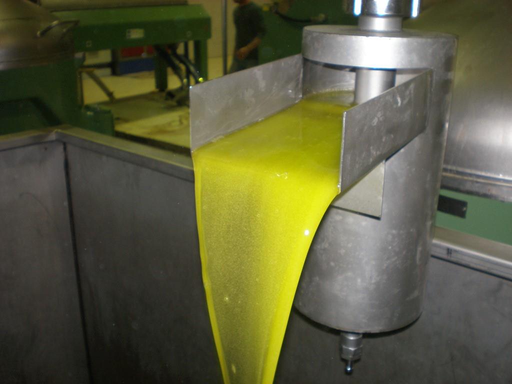 image1-1