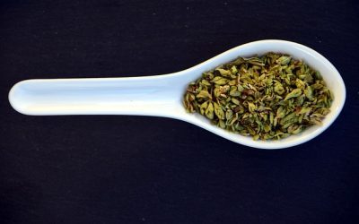 Wann wird Oregano geerntet?